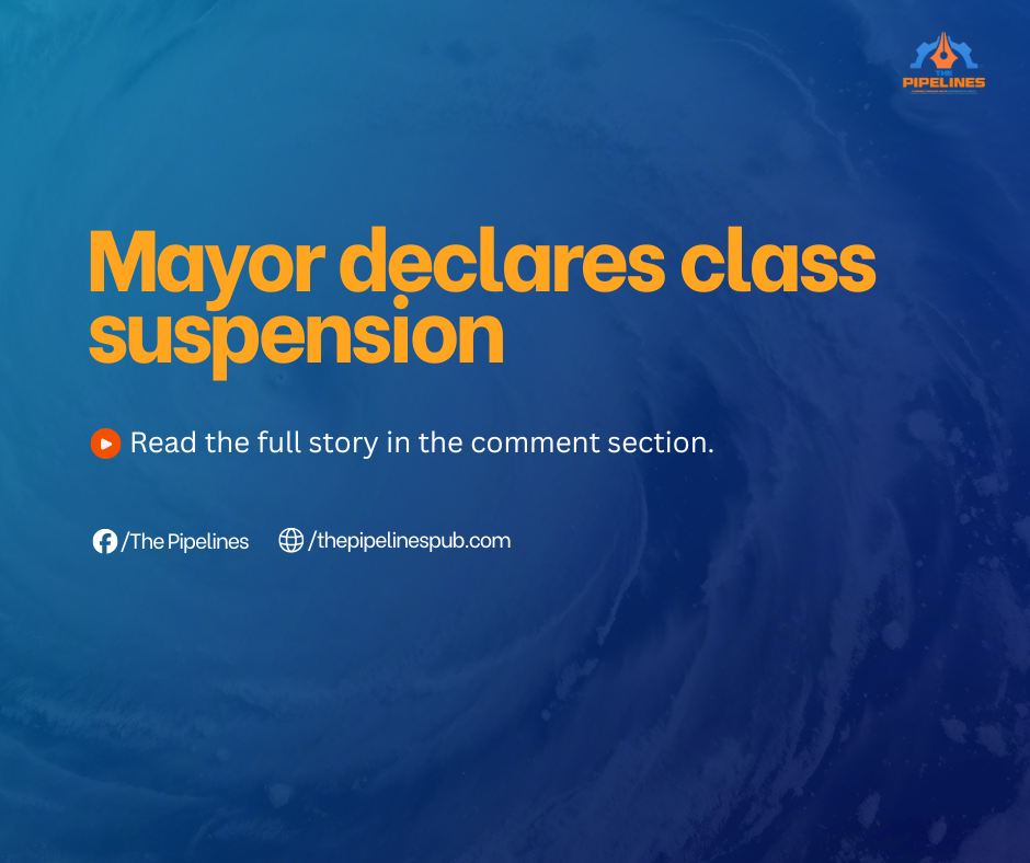 Leyte class suspension